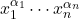 x_1^{\alpha_1} \cdots x_n^{\alpha_n}