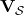 \textbf{V}_\mathcal{S}