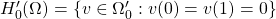 H_0'(\Omega) = \{ v \in \Omega_0' : v(0)=v(1)=0 \}